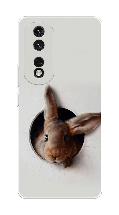 

Чехол на Honor 80 Pro "Любопытный кролик", Серый;коричневый, 6120450-1