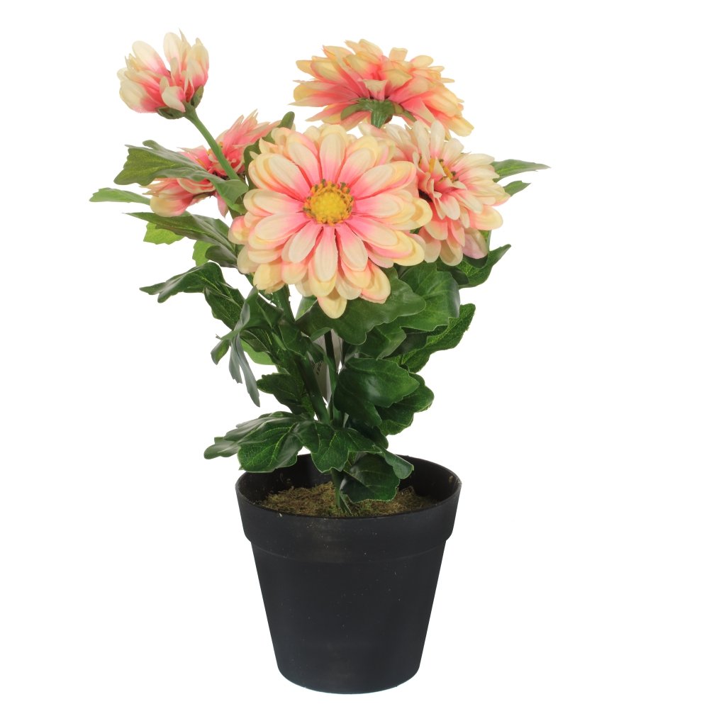 

Цветочная композиция, 25*25*40 см KSM-714541, Зеленый