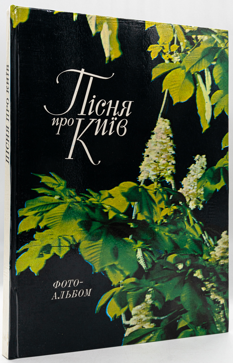 

Песня про Киев.