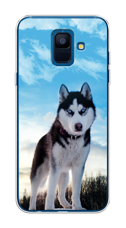 

Чехол Awog на Samsung Galaxy A6 "Хаски 3", Белый;черный;голубой, 25950-2