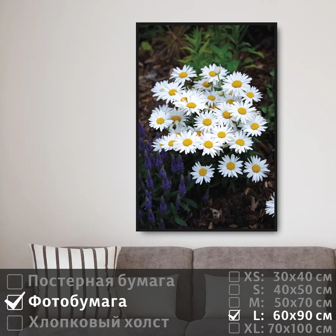 

Постер на фотобумаге ПолиЦентр Красивые цветы ромашки 60х90 см, КрасивыеЦветыРомашки