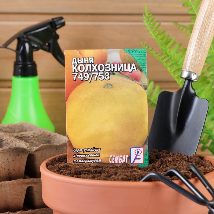 

Семена дыня Колхозница Аэлита 2176149 1 уп.