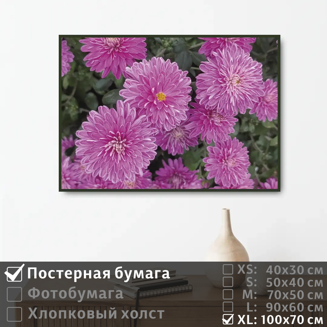 

Постер на стену ПолиЦентр Нежные хризантемы 100х70 см, НежныеХризантемы1
