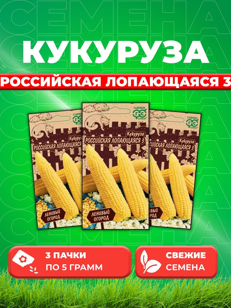 

Семена кукуруза Российская лопающаяся Гавриш 1999947624-3 3 уп.