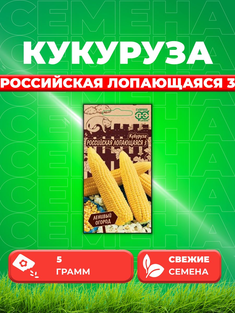 

Семена кукуруза Российская лопающаяся Гавриш 1999947624-1 1 уп.