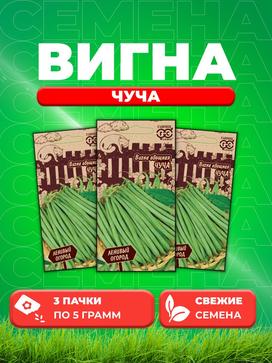 

Семена вигна Чуча Гавриш 1999947619-3 3 уп.