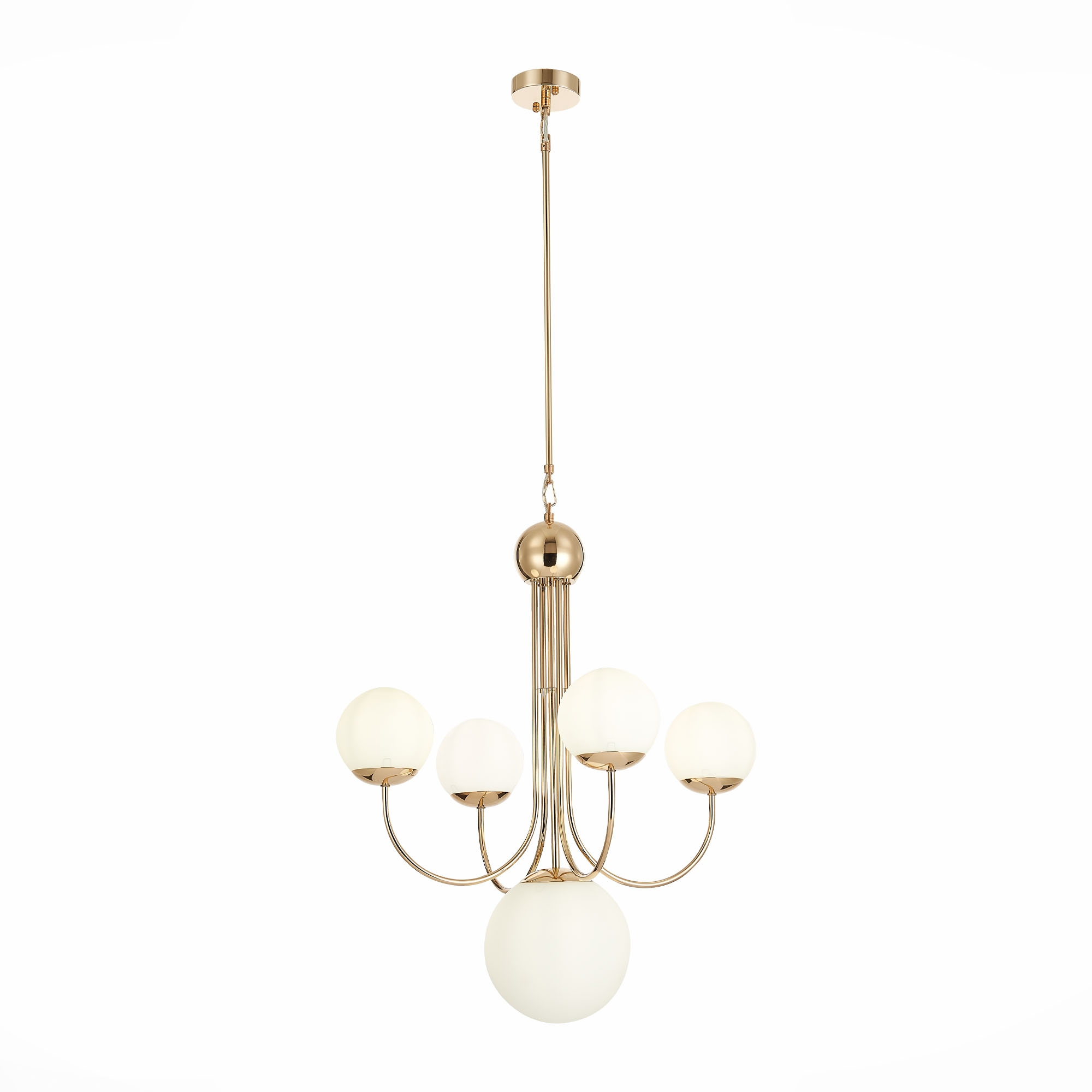 Подвесная люстра 5 плафонов золото ST Luce Avellino SL1504.203.05