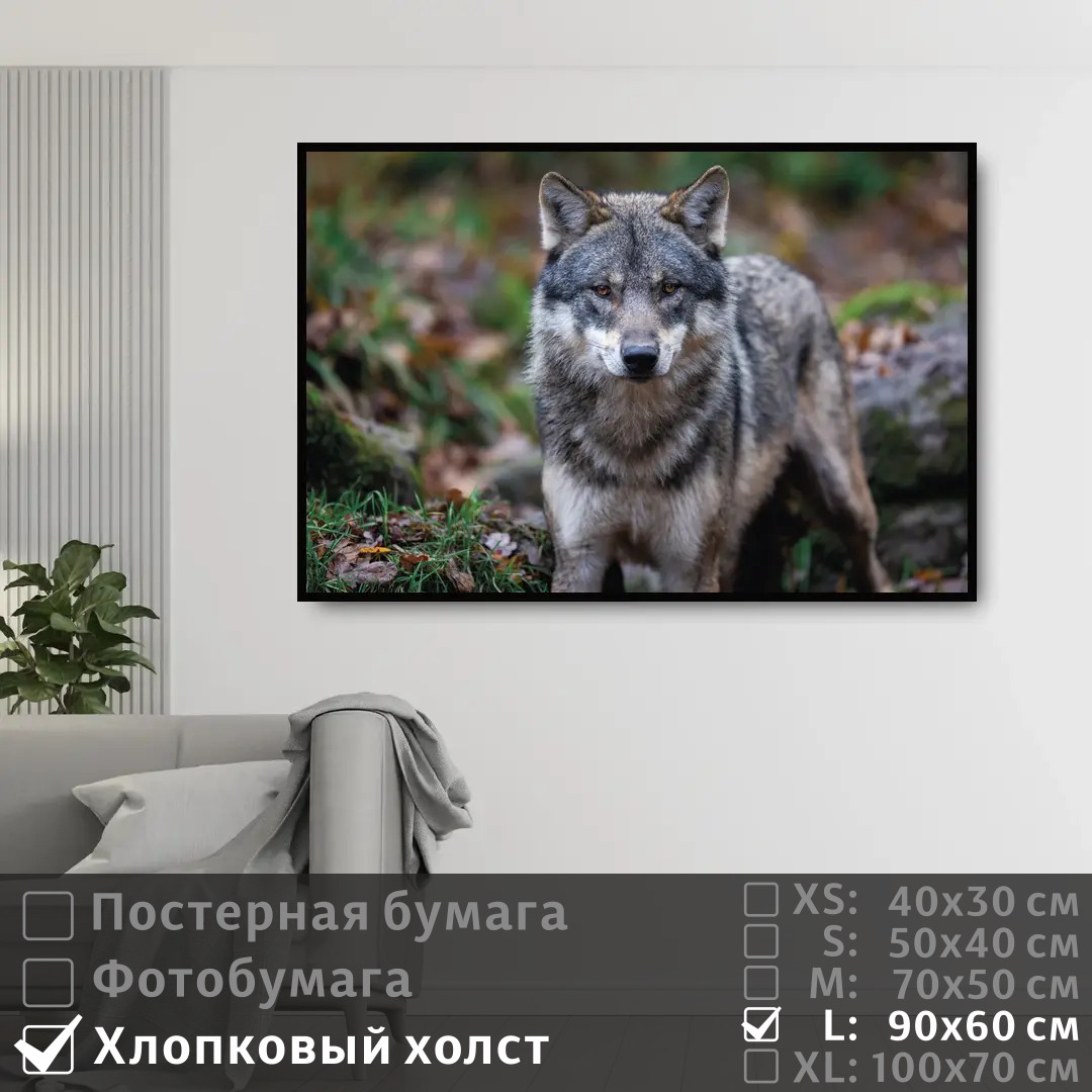 

Постер на холсте ПолиЦентр Хищный волк 90х60 см, ХищныйВолк