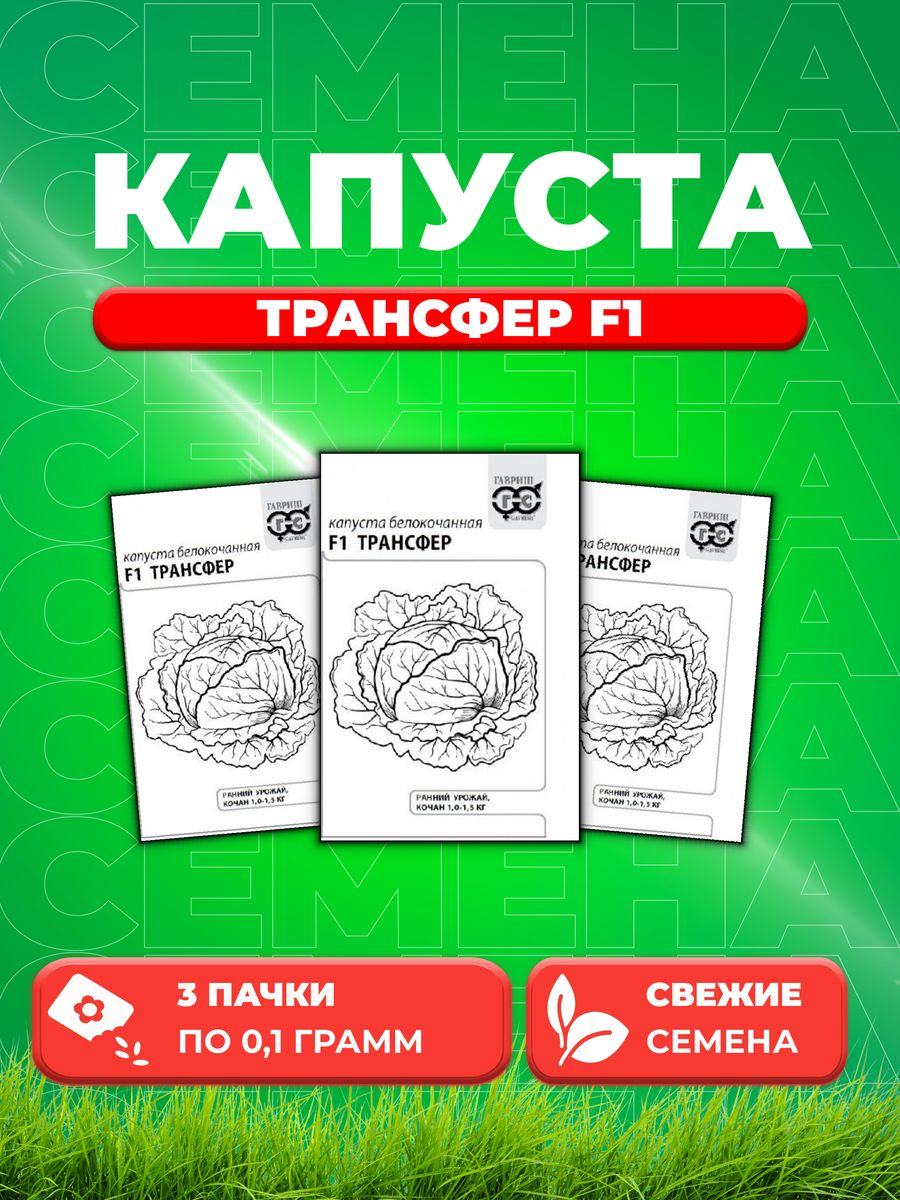 

Семена Капуста белокочанная Трансфер F1, 0,1г, Гавриш, Б/П 3уп