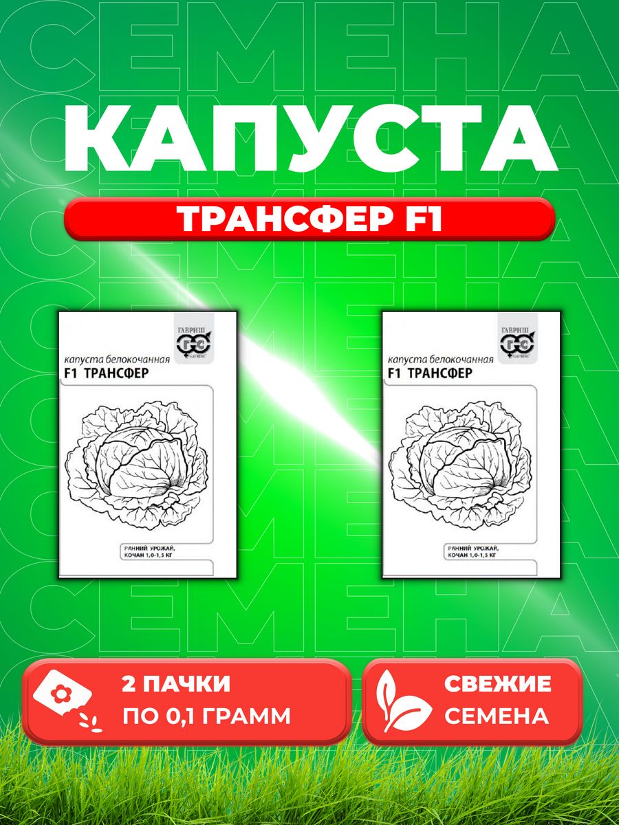 

Семена Капуста белокочанная Трансфер F1, 0,1г, Гавриш, Б/П 2уп