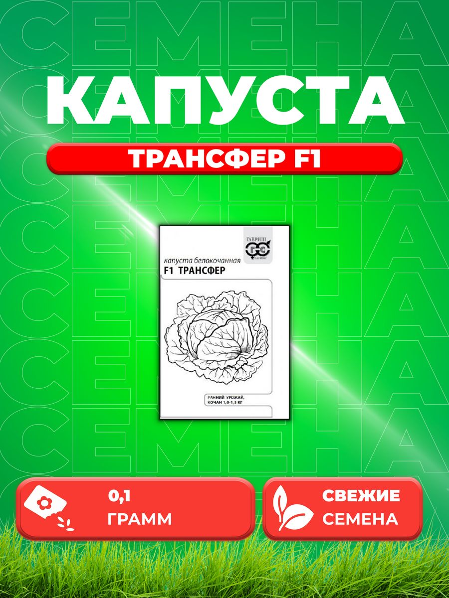 

Семена Капуста белокочанная Трансфер F1, 0,1г, Гавриш, Б/П