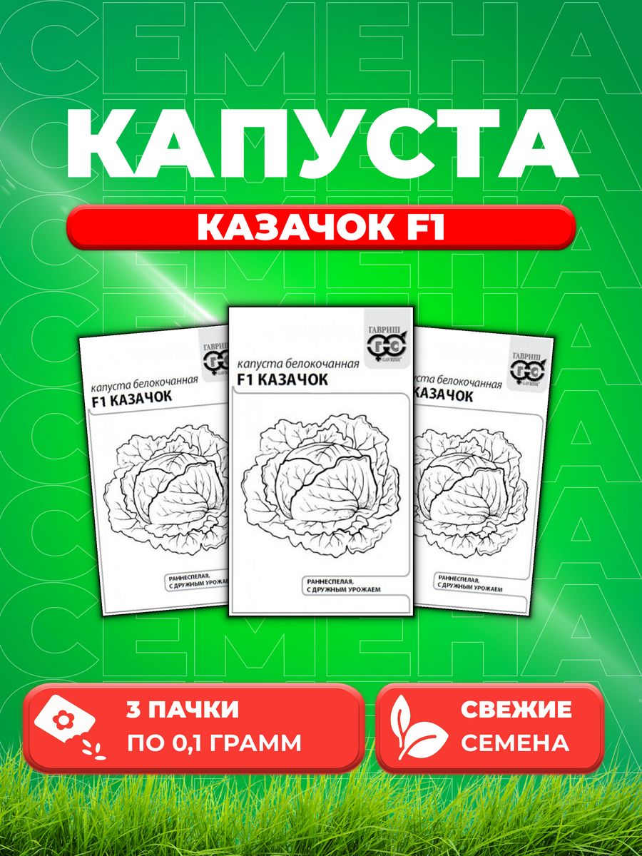 

Семена капуста белокочанная Казачок F1 Гавриш 1999946949-3 3 уп.