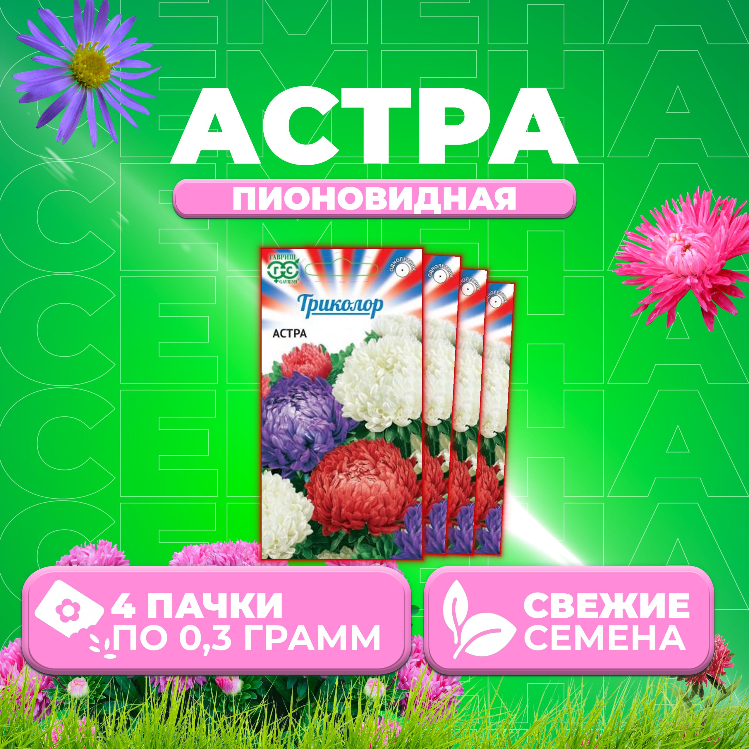 

Семена Астра Пионовидная, смесь, 0,3г, Гавриш, Триколор 4 уп