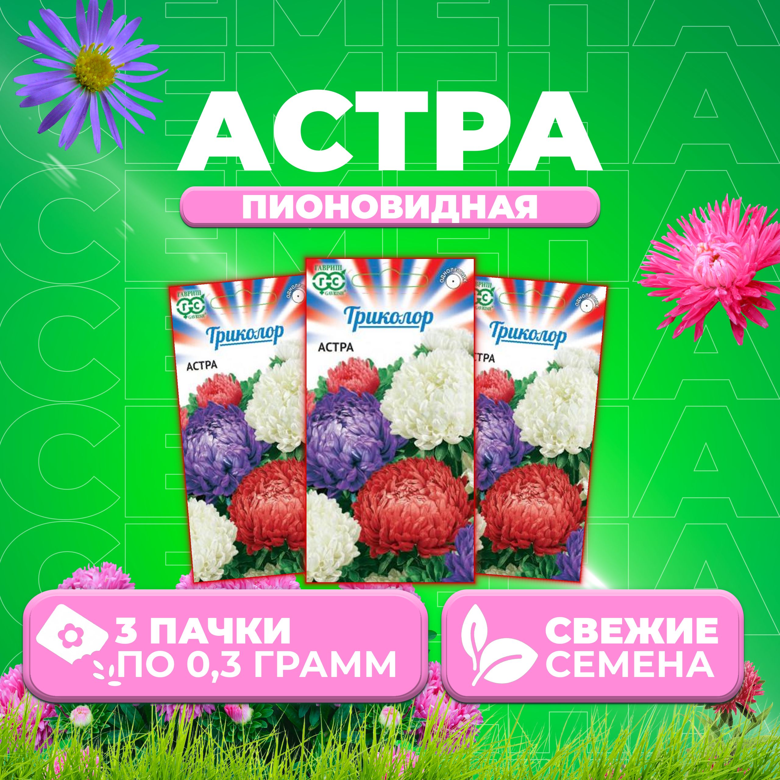 

Семена Астра Пионовидная, смесь, 0,3г, Гавриш, Триколор 3 уп