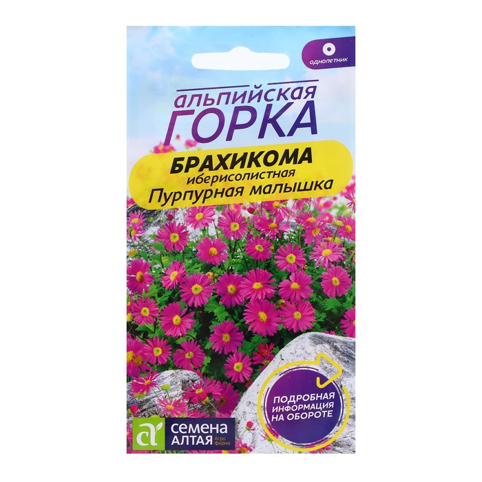

Семена Брахикома "Пурпурная малышка", 0,05 гр. (3 шт.)