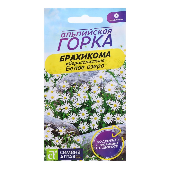 

Семена Брахикома "Белое озеро", 0,05 гр. (3 шт.)