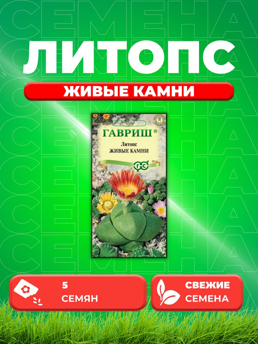 

Семена Литопс Живые Камни 5 шт. пробирка