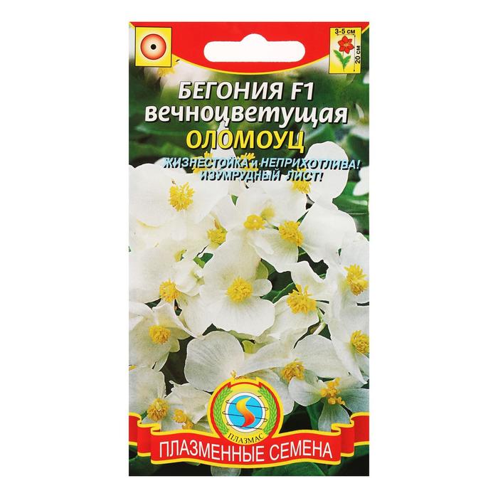 

Семена Бегония вечноцветущая "Оломоуц", F1, 3 г (3 шт.)