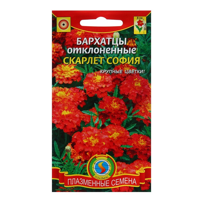 

Семена Бархатцы отклоненные "Скарлет София", 3 г (4 шт.)