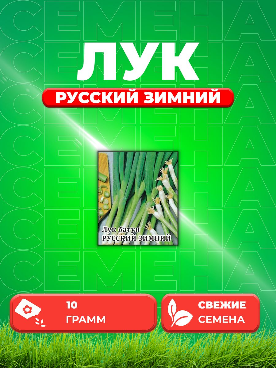 

Семена Лук батун Русский зимний 10,0 г