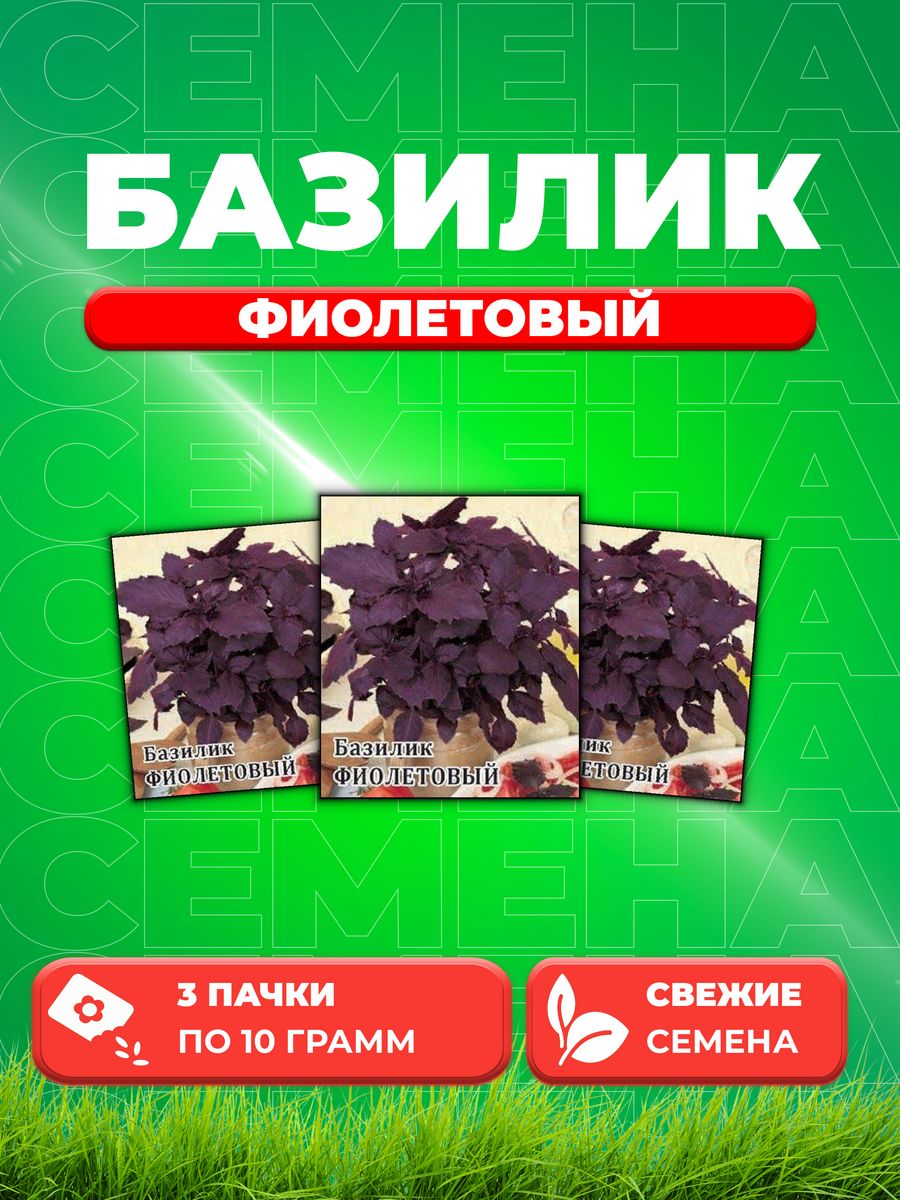 

Семена Семена Базилик Фиолетовый 10г. Гавриш3уп