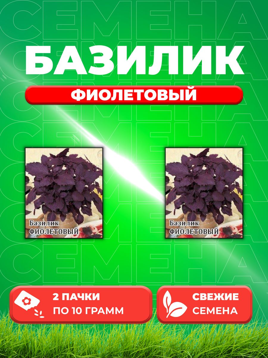 

Семена Семена Базилик Фиолетовый 10г. Гавриш2уп