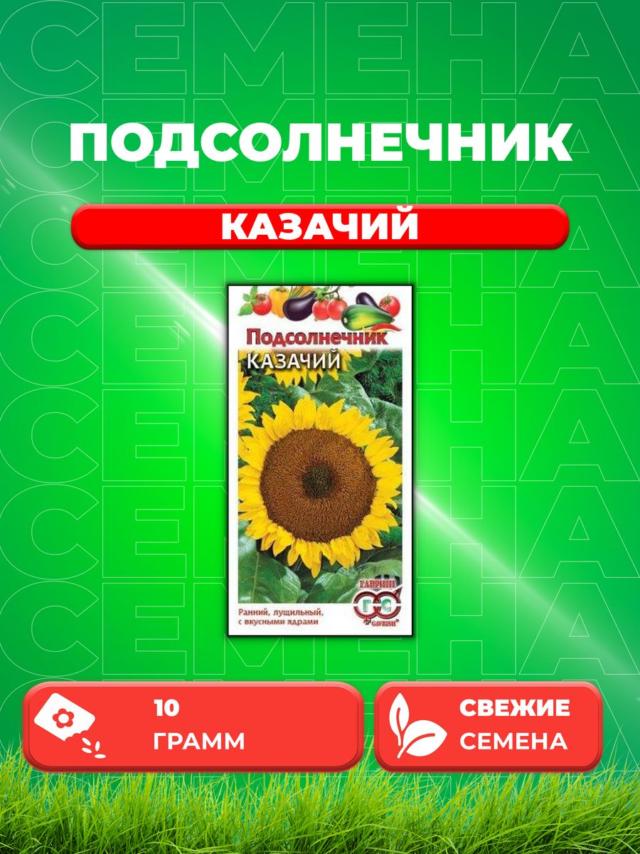 

Семена подсолнечник Гавриш Казачий 1999946149-1 1 уп.