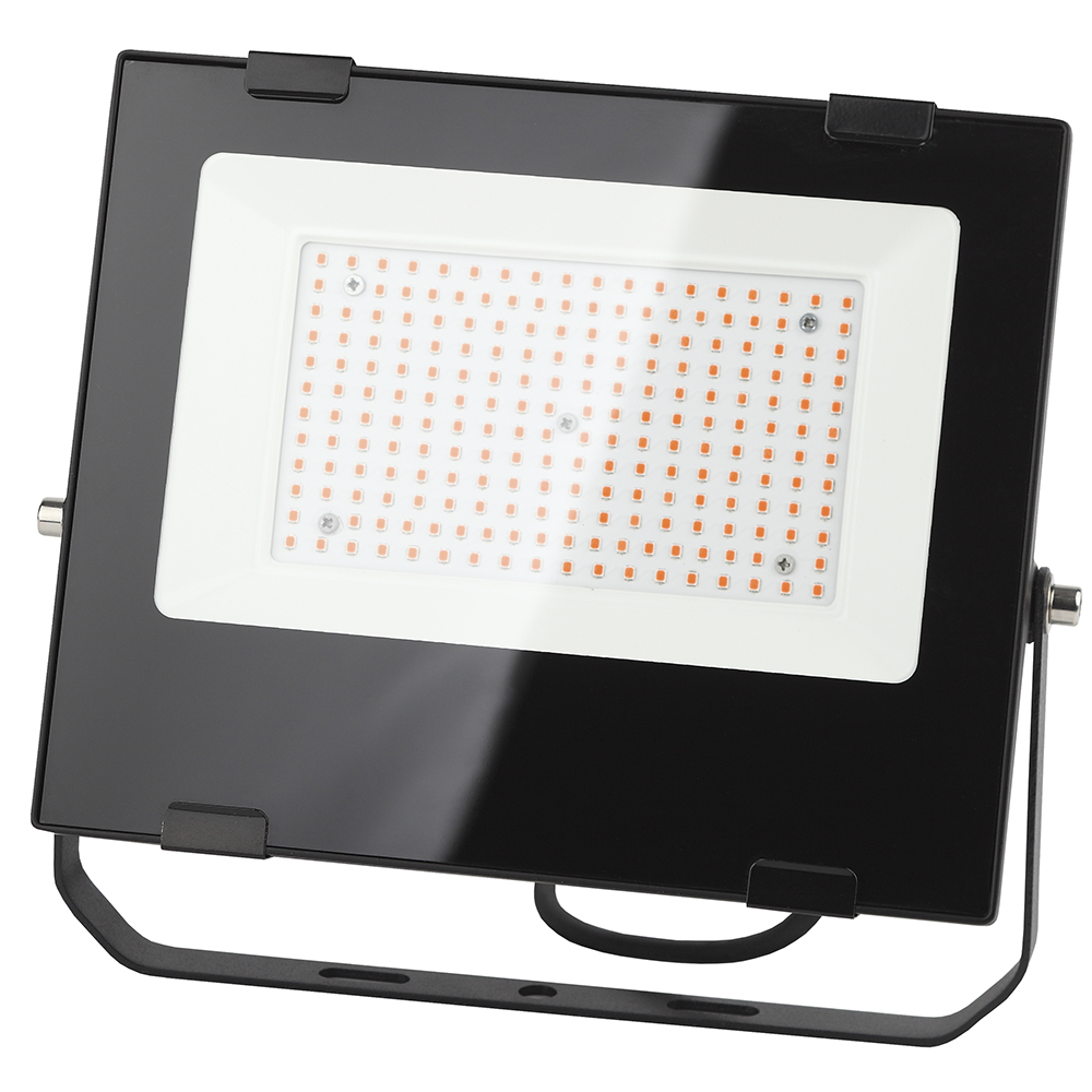 

Фитопрожектор для растений Эра 100 Вт LED красно-синий спектр