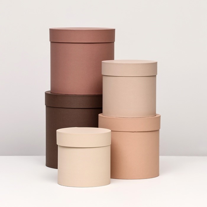 

Набор шляпных коробок UPAK LAND коричневый 10345863, 5 в 1 , 23 х 23 - 15 х 15 см, Бежевый;коричневый