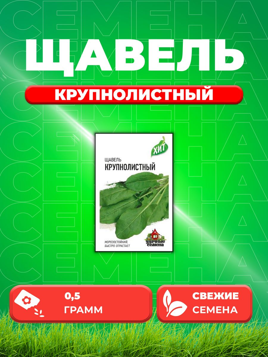 

Семена Щавель Крупнолистный 0,5 г ХИТ х3