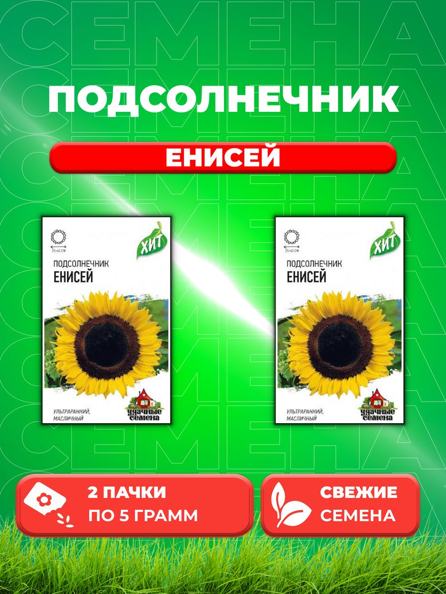 

Семена подсолнечник Удачные семена Енисей 1999945614-2 2 уп.