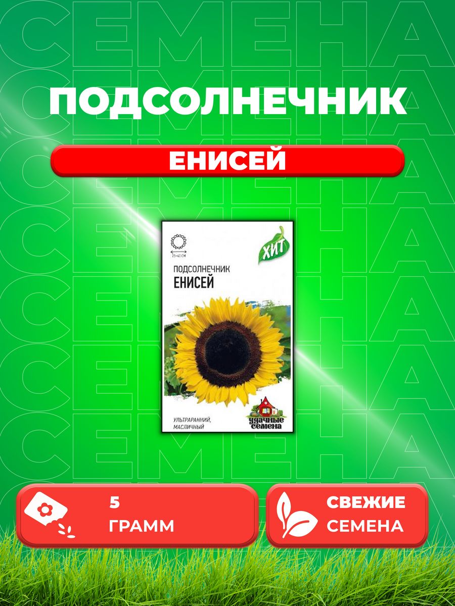 Семена Подсолнечника Енисей Купить