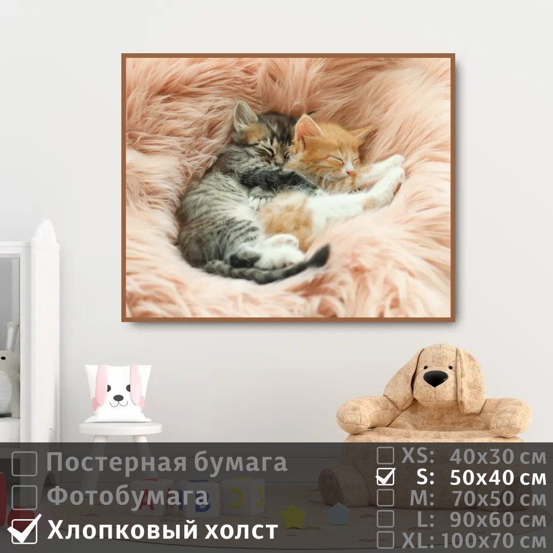 

Постер на холсте ПолиЦентр Дружные котята на отдыхе 50х40 см, ДружныеКотятаНаОтдыхе