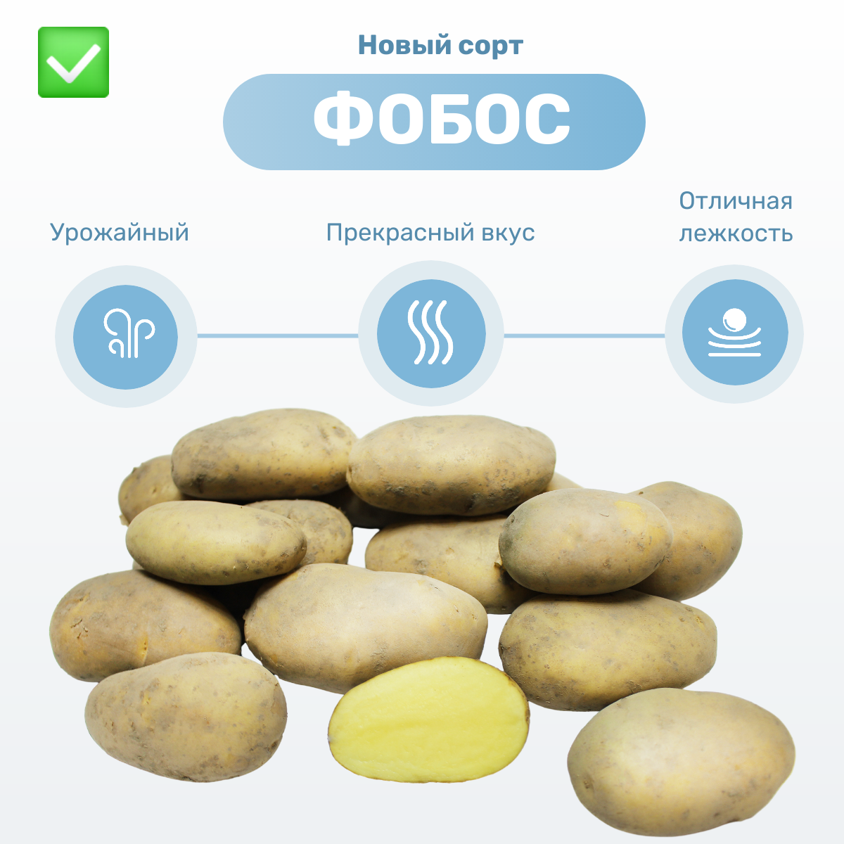 Картофель Агроцентр Коренево Фобос-6 100 шт