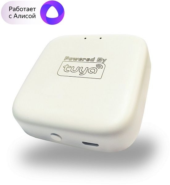 Wi-Fi конвертер с управлением смартфоном белый Denkirs Smart DK7400-WF