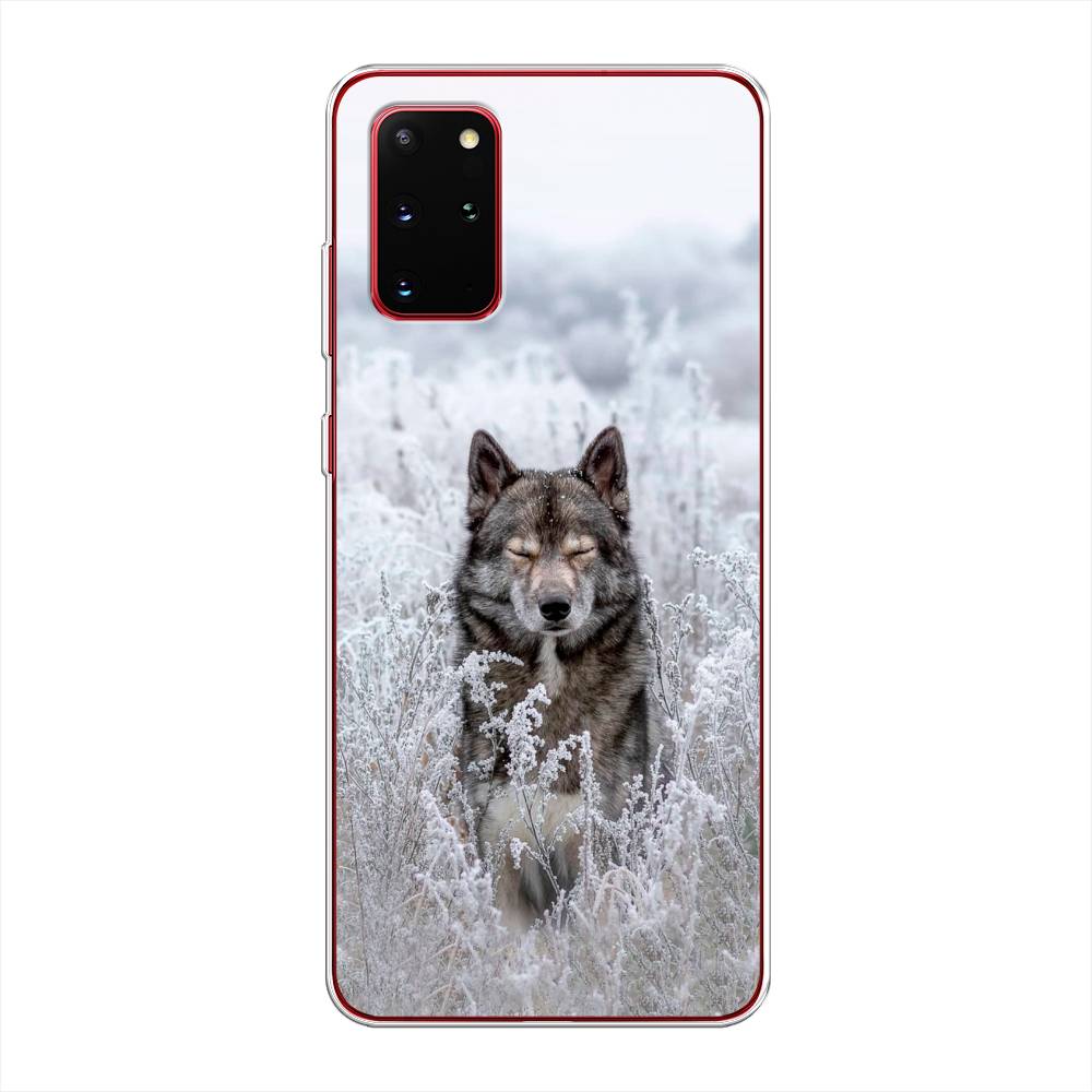 

Чехол Awog на Samsung Galaxy S20 + "Волк в поле", Белый;черный, 29350-1