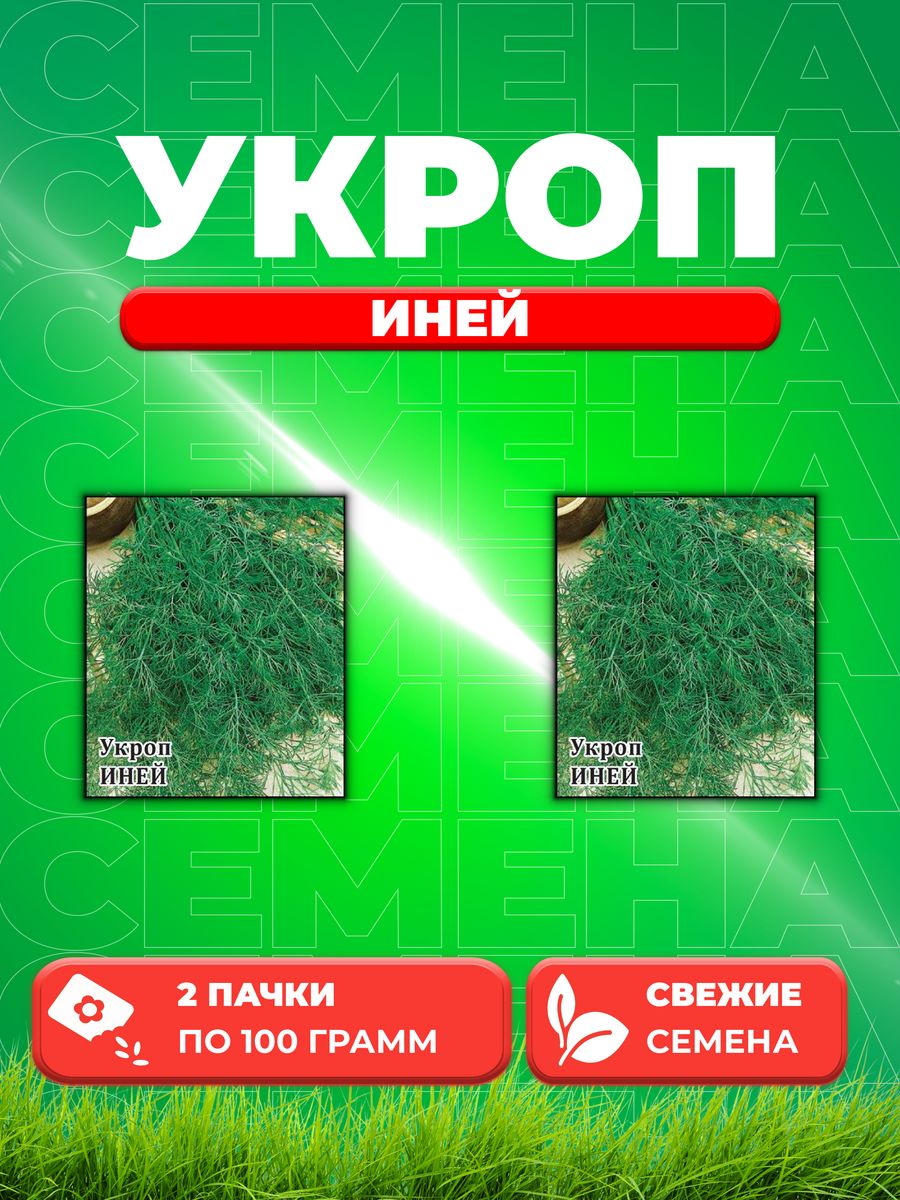 

Семена Укроп Иней 100,0 г 2уп