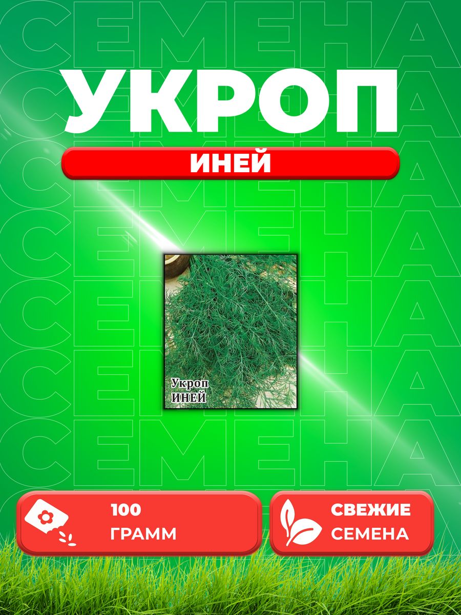 

Семена Укроп Иней 100,0 г