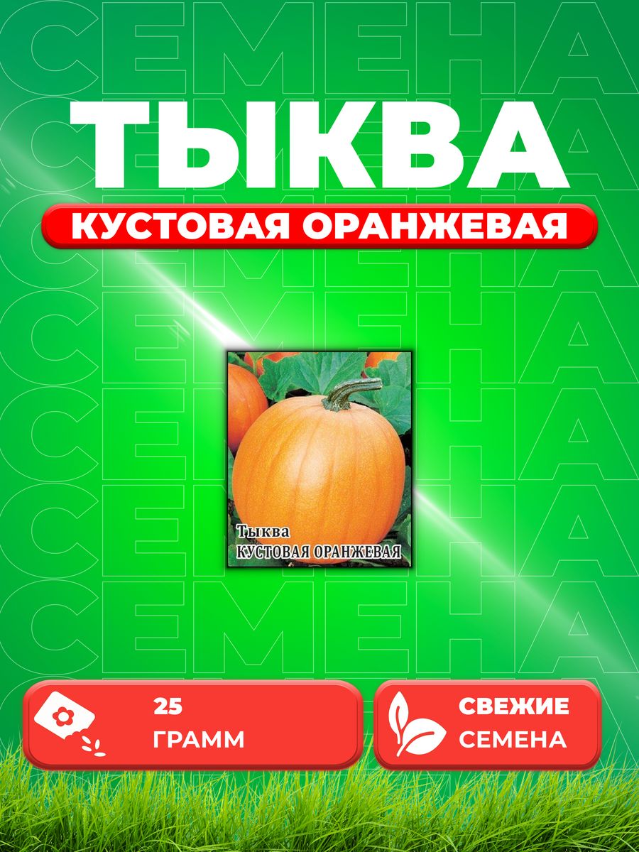 

Семена тыква Гавриш Кустовая Оранжевая 1999945315-1 1 уп.