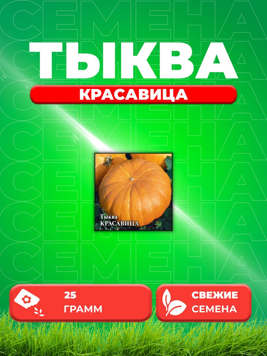 

Семена тыква Гавриш Красавица 1999945314-1 1 уп.