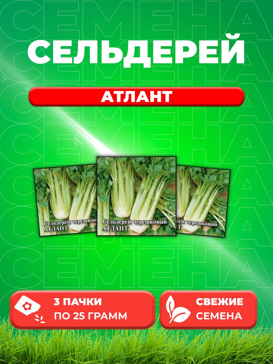 

Семена сельдерей Гавриш Атлант 1999945305-3 3 уп.