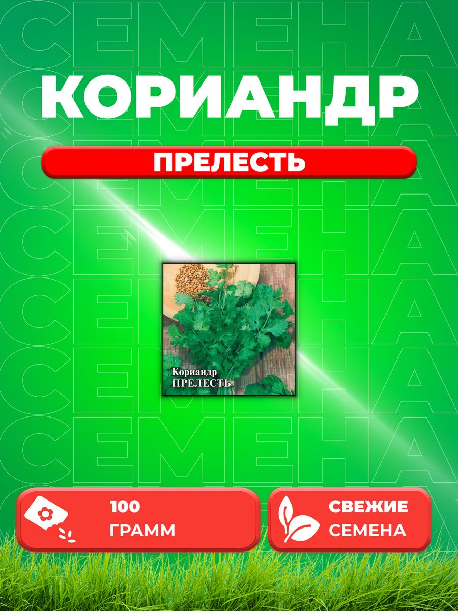 

Семена Кориандр Прелесть 100 г