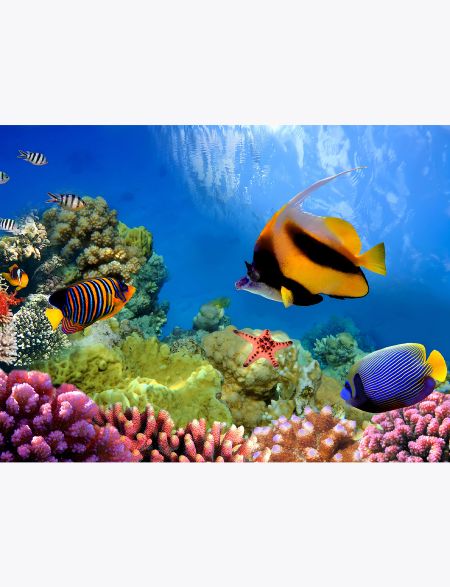

Алмазная мозаика без подрамника Морской мир, 130x100 см, 30 цветов, 61136, РА-151