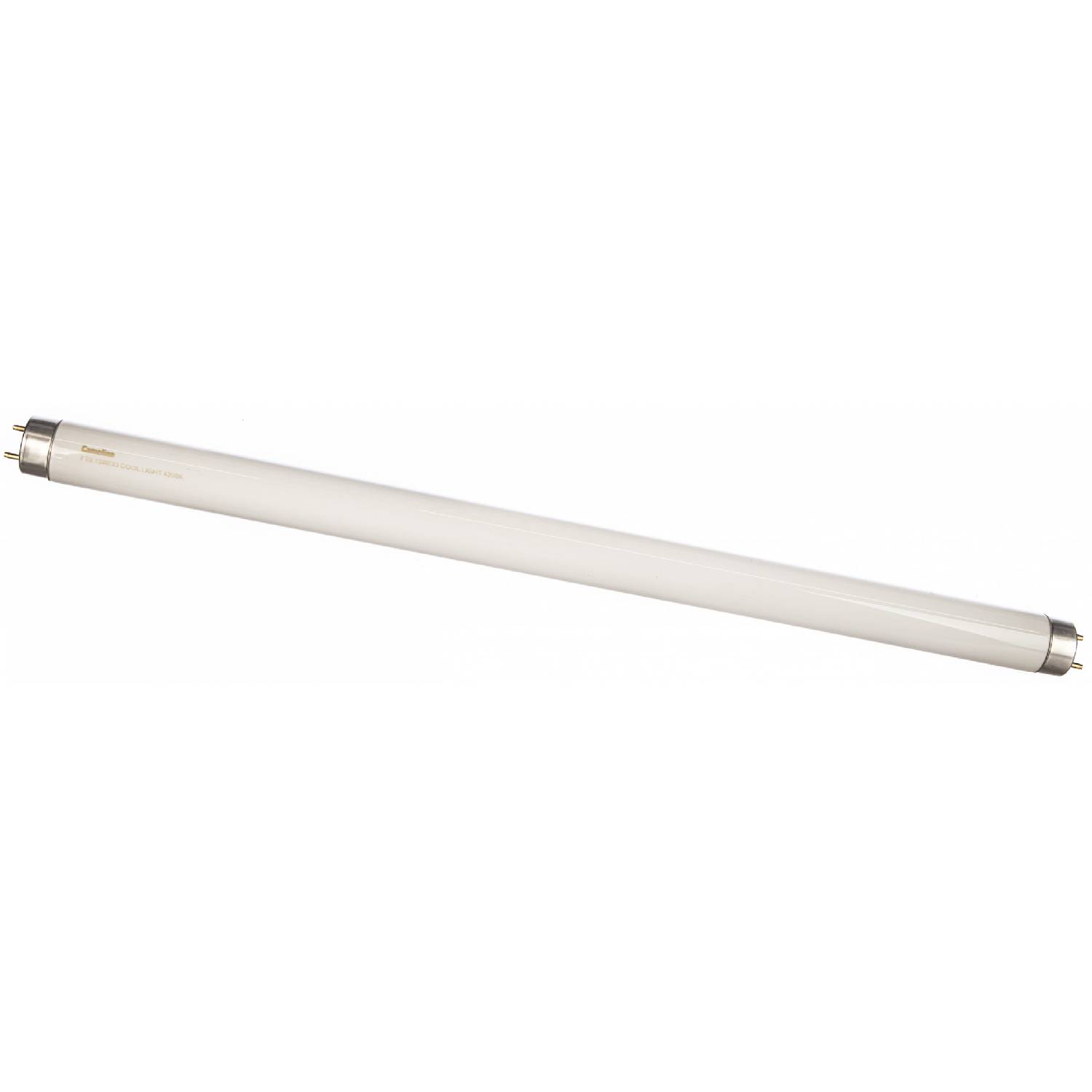 

Комплект люменисцентных лампочек CAMELION FT8 15W/33 COOL LIGHT 4200K/10шт
