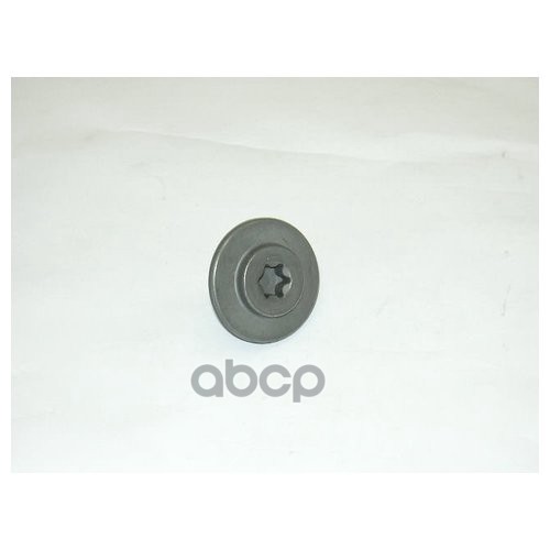 

Заглушка Резьбовая Audi/Vw VAG арт. WHT004914