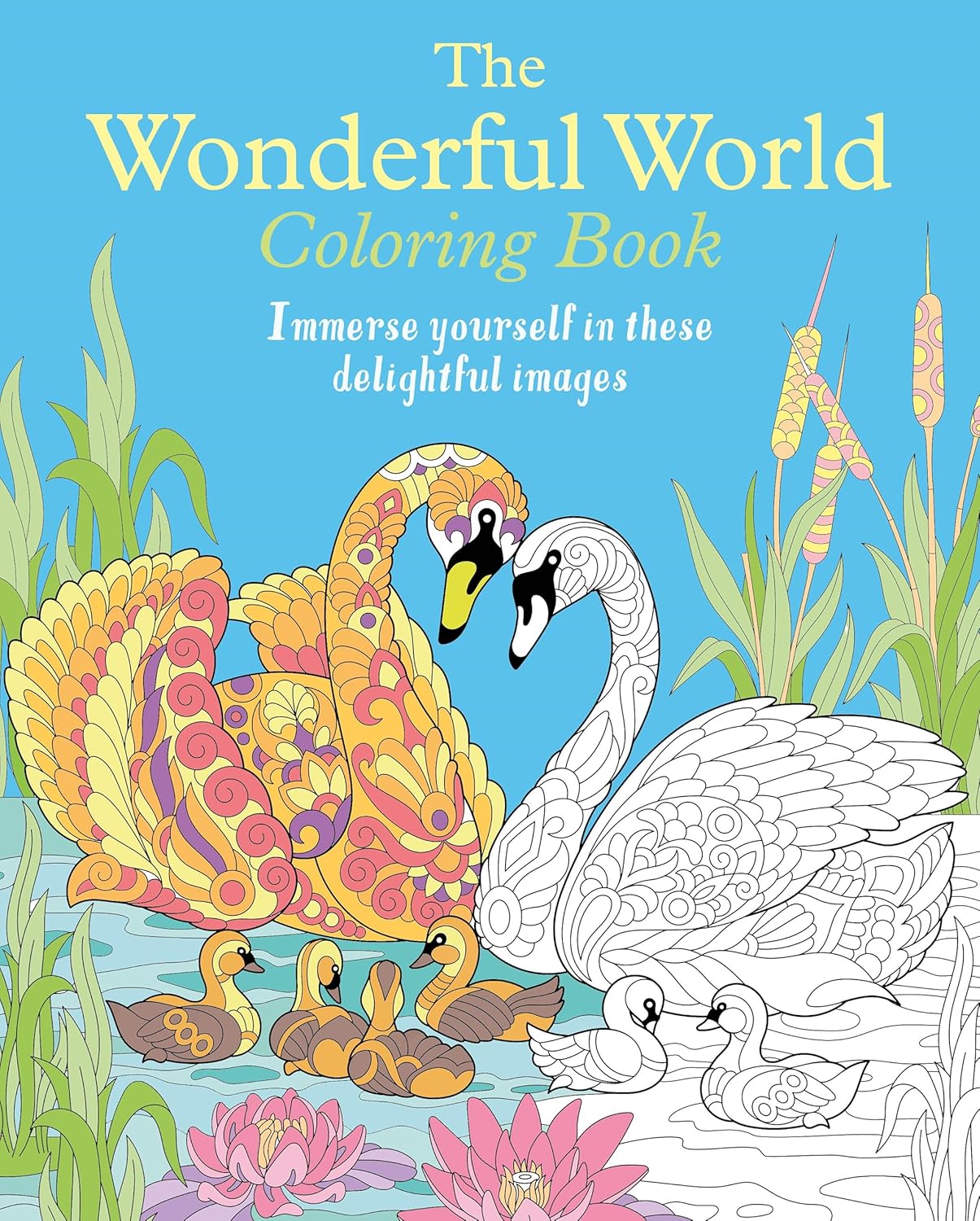 

Wonderful World Colouring Book. Willow, Tansy