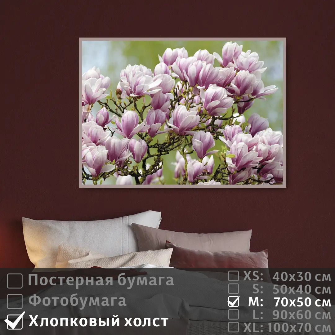 

Постер на холсте ПолиЦентр Ветка магнолии 70х50 см, ВеткаМагнолии
