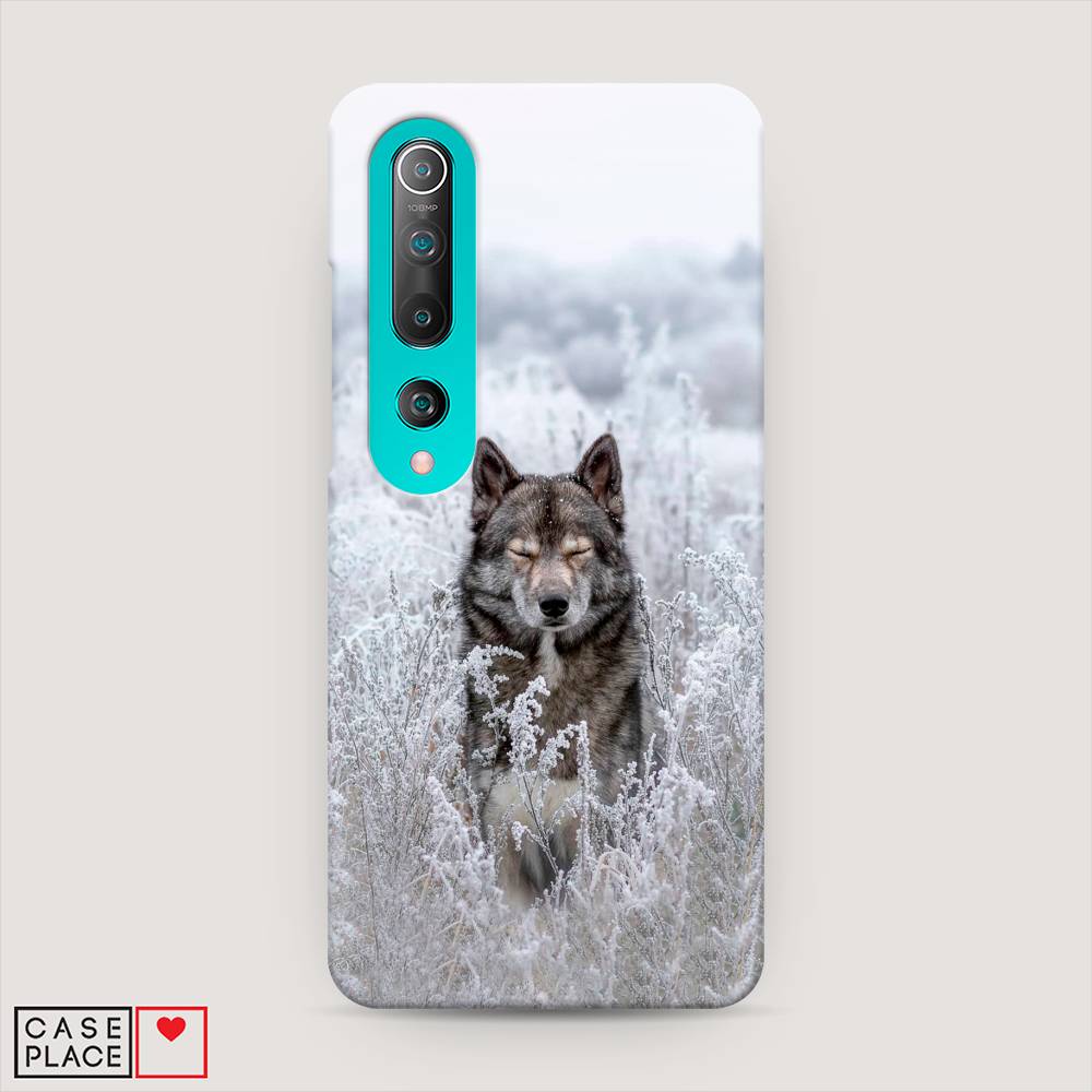 

Пластиковый чехол "Волк в поле" на Xiaomi Mi 10 Pro, 37820-1