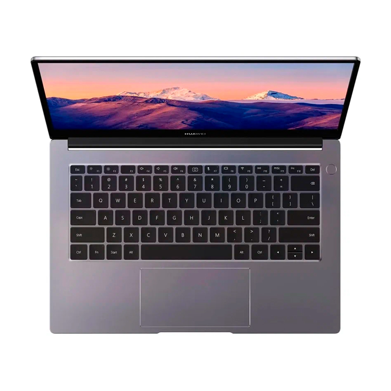 Ноутбук Huawei MateBook B3-420 Gray (NDZ-WDH9A)