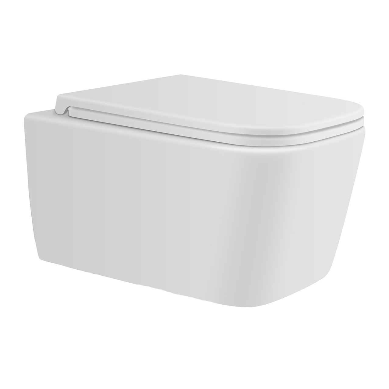 Унитаз подвесной Avimano Vision 1000041 с сиденьем микролифт, белый матовый